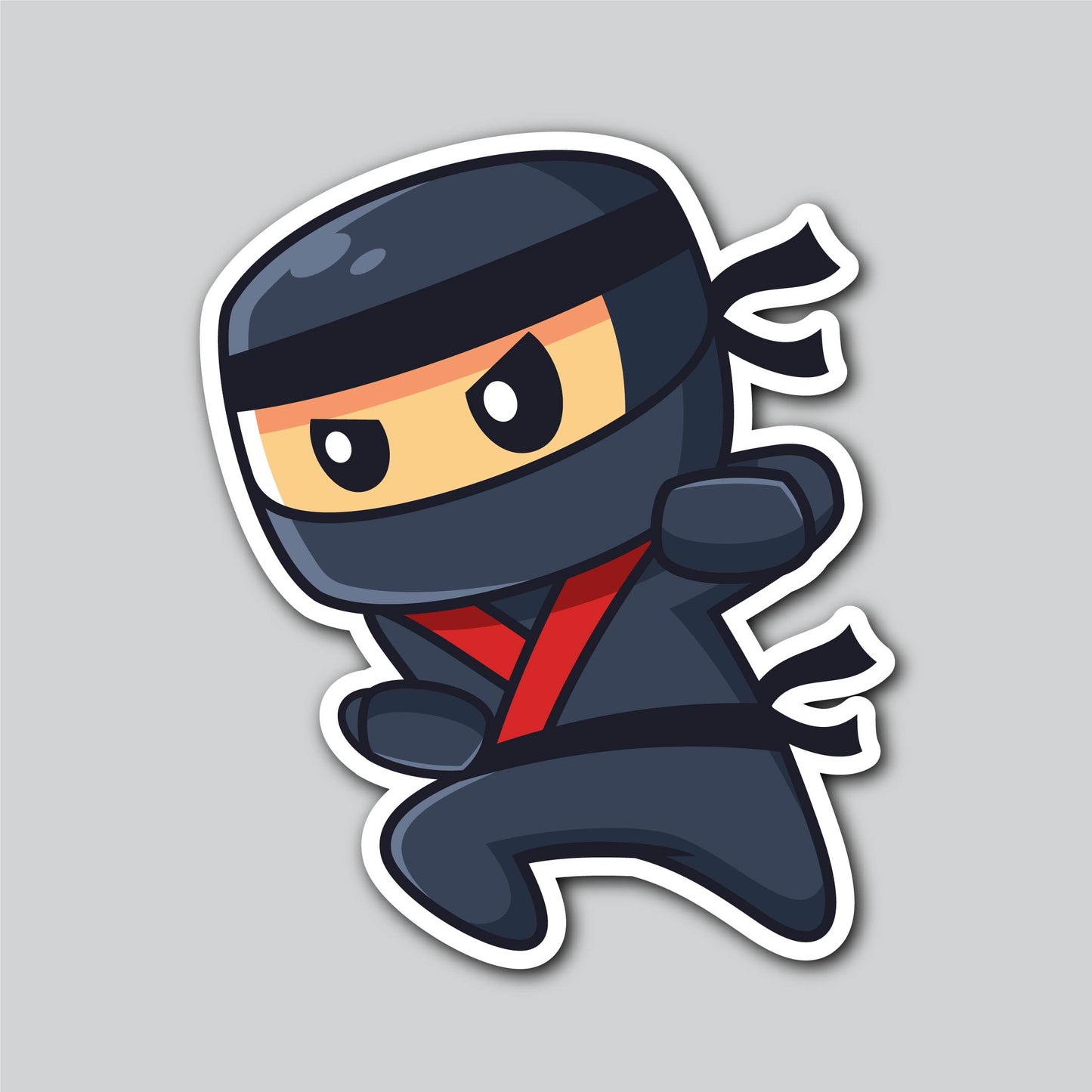 NINJA 1
