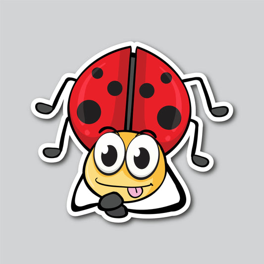 LADY BUG